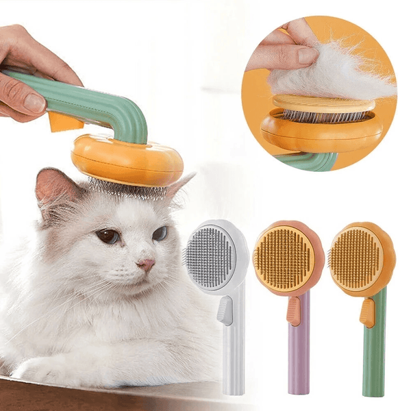 Pet Brush & Fur Remover